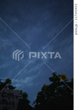 夏の夜に見上げる天の川 夏の夜に見上げる天の川 117343453