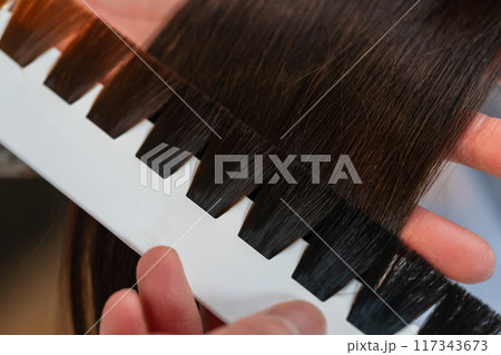 beauty parlor beauty parlor 117343673