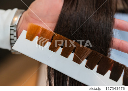 beauty parlor beauty parlor 117343676