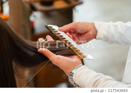 beauty parlor beauty parlor 117343683