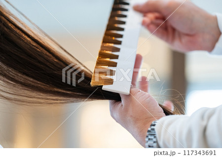 beauty parlor beauty parlor 117343691