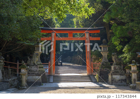 奈良公園　春日大社参道　二之鳥居 117343844