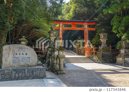 奈良公園 春日大社参道 二之鳥居 奈良公園 春日大社参道 二之鳥居 117343846