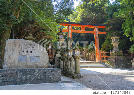 奈良公園 春日大社参道 二之鳥居と世界遺産の碑 奈良公園 春日大社参道 二之鳥居と世界遺産の碑 117343848