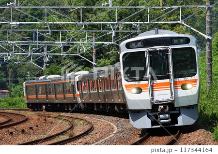 【JR東海】315系+313系(東海道線:金谷〜島田) 【JR東海】315系+313系(東海道線:金谷〜島田) 117344164