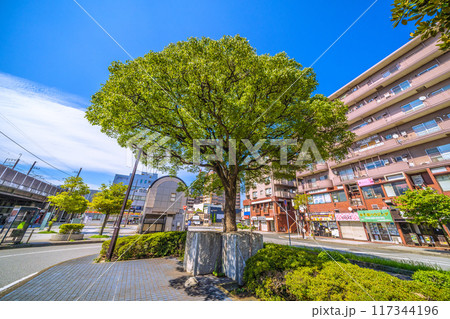 日本の千葉都市景観 千葉市中央区長洲の本千葉駅前などを望む＝令和6年8月12日 117344196