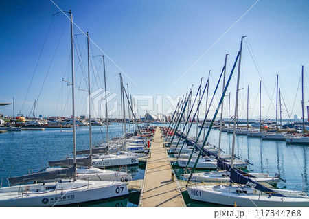 青島の風景 青島の風景 117344768