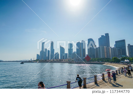 青島の風景 117344770