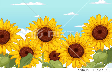Sunflowers Under a Clear Sky 117344848