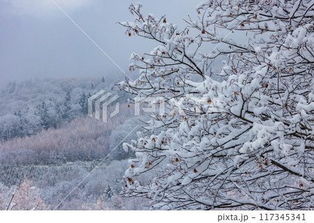 塩狩峠雪化粧 117345341