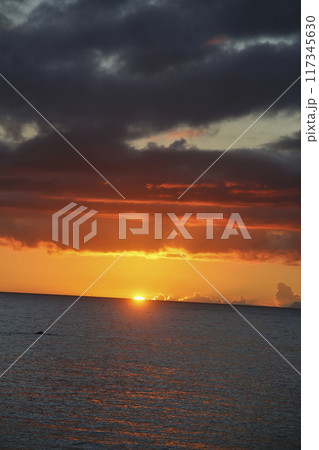 夏の日の出 夏の日の出 117345630