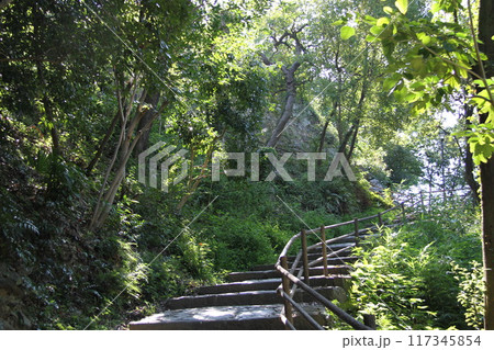 和歌山城の爽やかな夏の朝 117345854