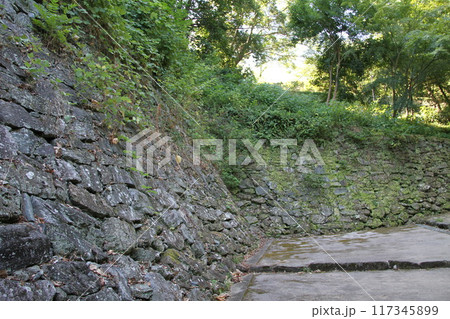 和歌山城の爽やかな夏の朝 和歌山城の爽やかな夏の朝 117345899