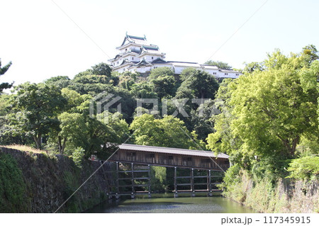 和歌山城の爽やかな夏の朝 和歌山城の爽やかな夏の朝 117345915