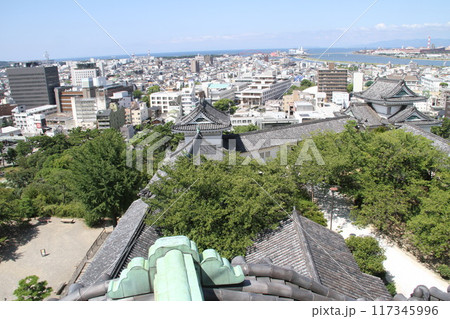 和歌山城の爽やかな夏の朝 117345996