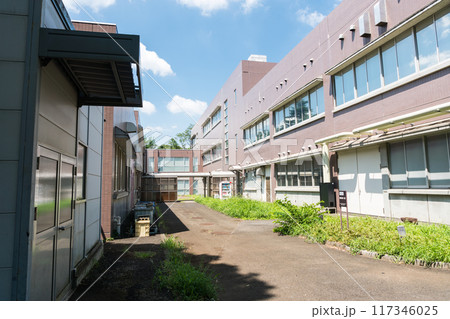 国立天文台の建物　路地　夏晴れの青空　東京都三鷹市 117346025