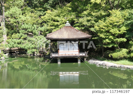 和歌山城西之丸庭園の夏の朝 117346197