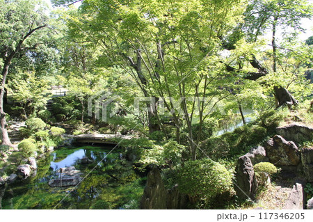 和歌山城西之丸庭園の夏の朝 和歌山城西之丸庭園の夏の朝 117346205