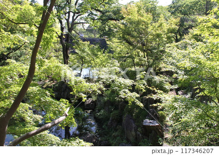 和歌山城西之丸庭園の夏の朝 117346207