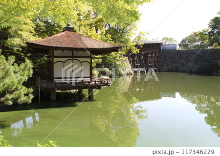 和歌山城西之丸庭園の夏の朝 和歌山城西之丸庭園の夏の朝 117346229