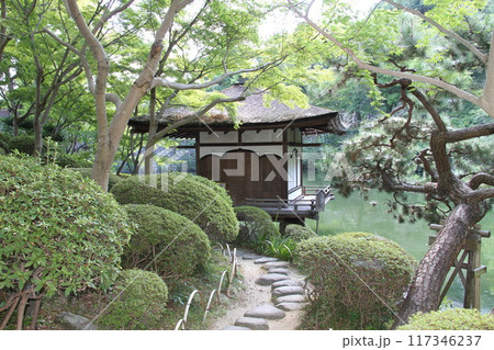 和歌山城西之丸庭園の夏の朝 和歌山城西之丸庭園の夏の朝 117346237