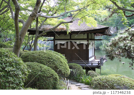 和歌山城西之丸庭園の夏の朝 和歌山城西之丸庭園の夏の朝 117346238