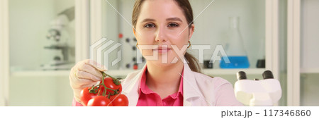 Young woman scientist holding tomatoes in hands Young woman scientist holding tomatoes in hands 117346860