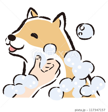 犬をシャンプーする手描きイラスト 犬をシャンプーする手描きイラスト 117347157