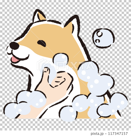 犬をシャンプーする手描きイラスト 犬をシャンプーする手描きイラスト 117347157