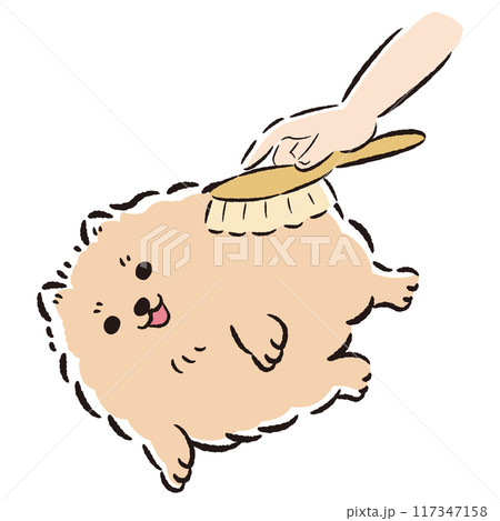 犬をブラッシングするイラスト 117347158