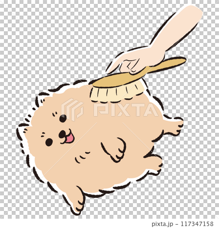 犬をブラッシングするイラスト 117347158