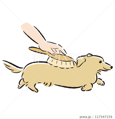 犬をブラッシングするイラスト 犬をブラッシングするイラスト 117347159