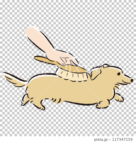 給狗狗刷毛的插圖 117347159