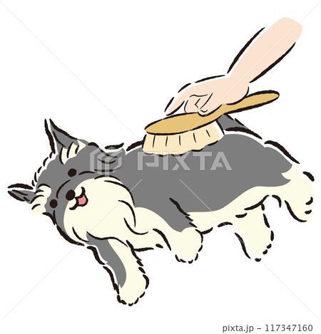犬をブラッシングするイラスト 犬をブラッシングするイラスト 117347160