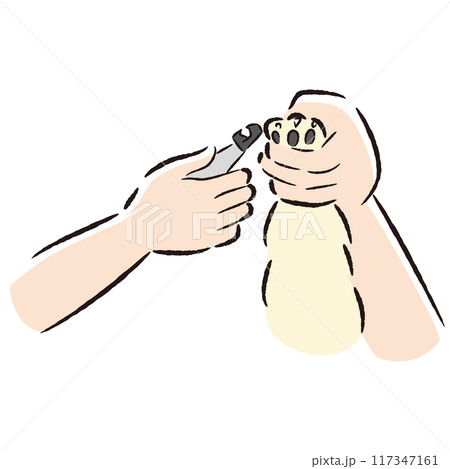 ペット用爪切りの手描きイラスト ペット用爪切りの手描きイラスト 117347161