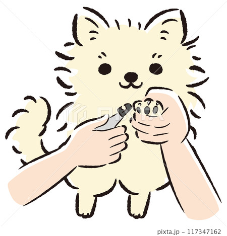 爪切りをするチワワの手描きイラスト 117347162