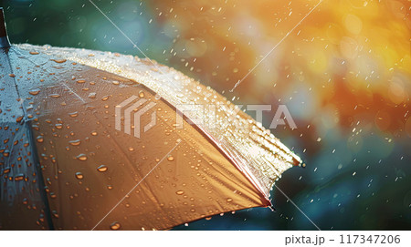 Umbrella Under the Rain 117347206
