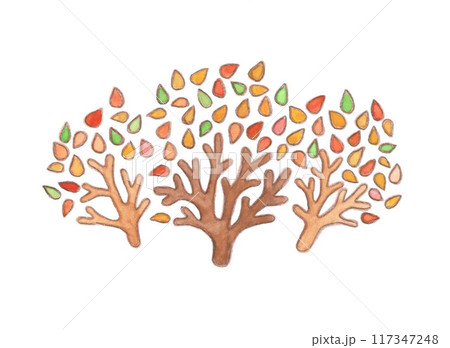 紅葉した木々 117347248
