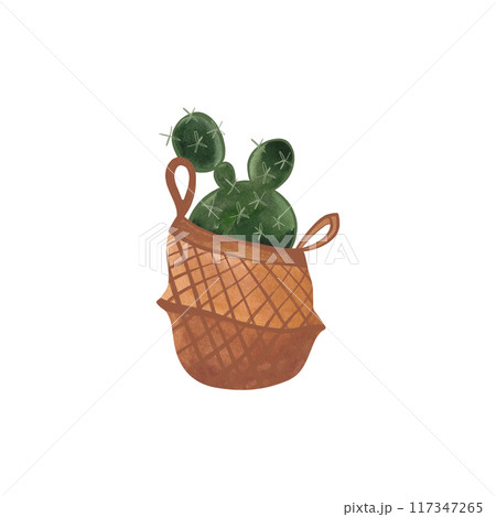 Cactus in a wicker basket. Plants for the home. Floriculture. Interior decoration. Isolated watercolor illustration on white background. Clipart. 117347265
