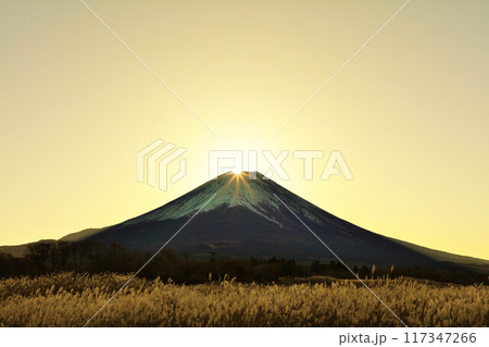 秋の夜明けとススキ　そしてダイヤモンド富士 117347266