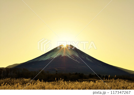 秋の夜明けとススキ　そしてダイヤモンド富士 117347267