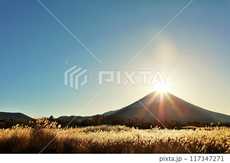 日本の夜明け　ダイヤモンド富士 117347271