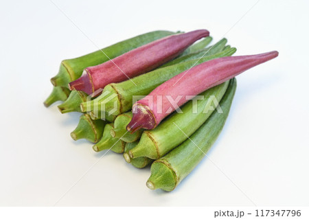 オクラ（丸オクラ） 117347796