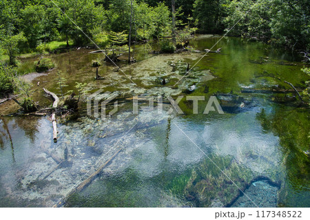 上高地の風景 117348522