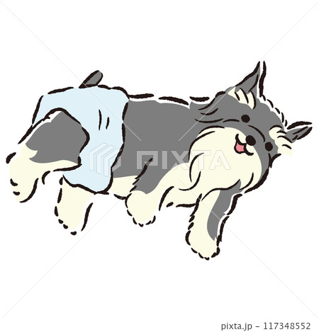 おむつを着用する犬の手描きイラスト 117348552