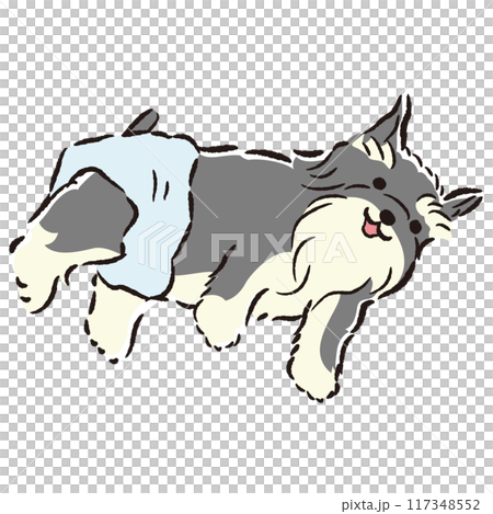 おむつを着用する犬の手描きイラスト 117348552