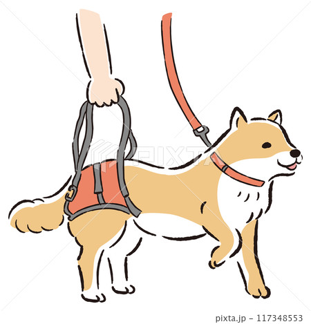 ウォーキングベルトを使う犬の手描きイラスト 117348553