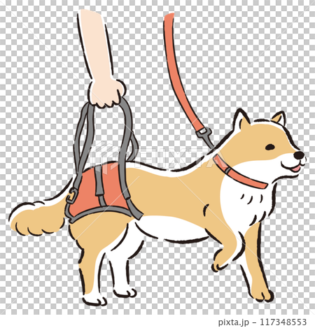 ウォーキングベルトを使う犬の手描きイラスト 117348553