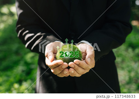 Sustainable environment development goals and visions planning business growth for Next Year 2025. Sustainable environment development goals and visions planning business growth for Next Year 2025. 117348633