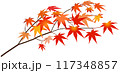 紅葉の枝(左)　透過イラスト素材 117348857